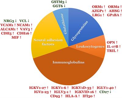 Integration of Urine Proteomic and Metabolomic Profiling Reveals Novel Insights Into Neuroinflammation in Autism Spectrum Disorder